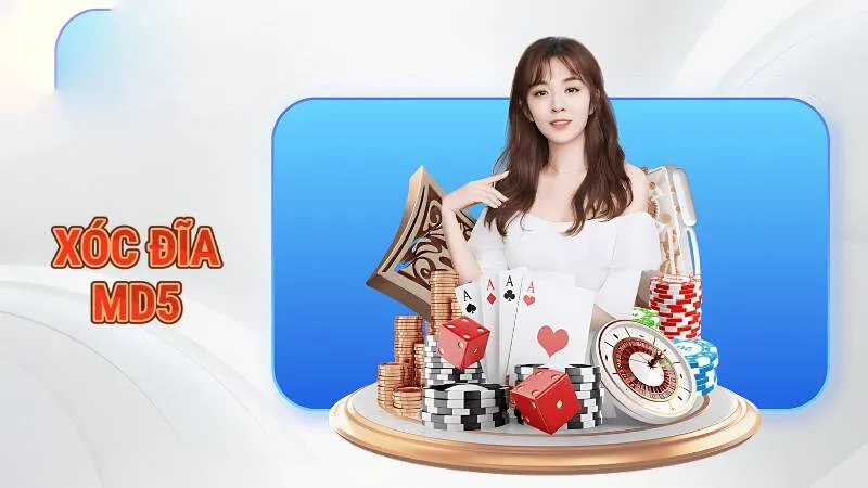 Xóc đĩa MD5